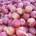 安徽冰糖心红富士苹果，产地大量供应，价格美丽，保质保量