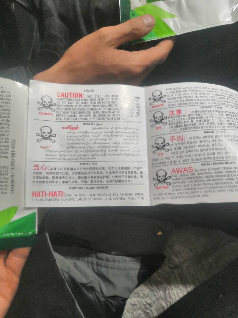 意大利生菜苗，茶氏育苗基地常年供应各种各样蔬菜苗