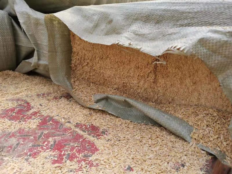 精品压块稻壳30kg小包装装车不亏吨质优价廉