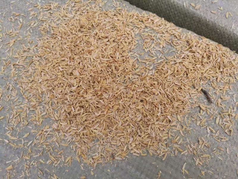 精品压块稻壳30kg小包装装车不亏吨质优价廉