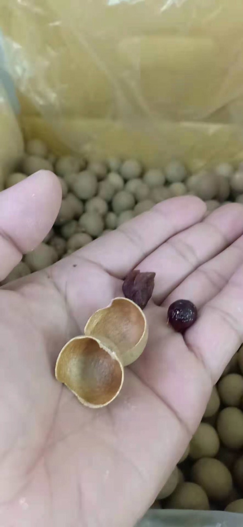 2022年新货己出，龙眼干肉厚皮薄籽小。