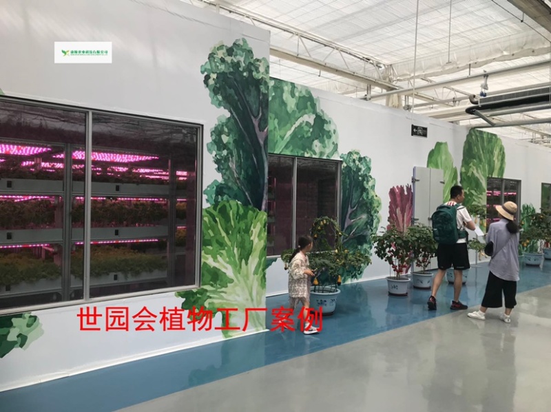 做现代农业设施一站式服务商