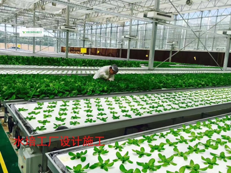 做现代农业设施一站式服务商