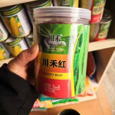 川禾红玉四季豆泰国架豆王