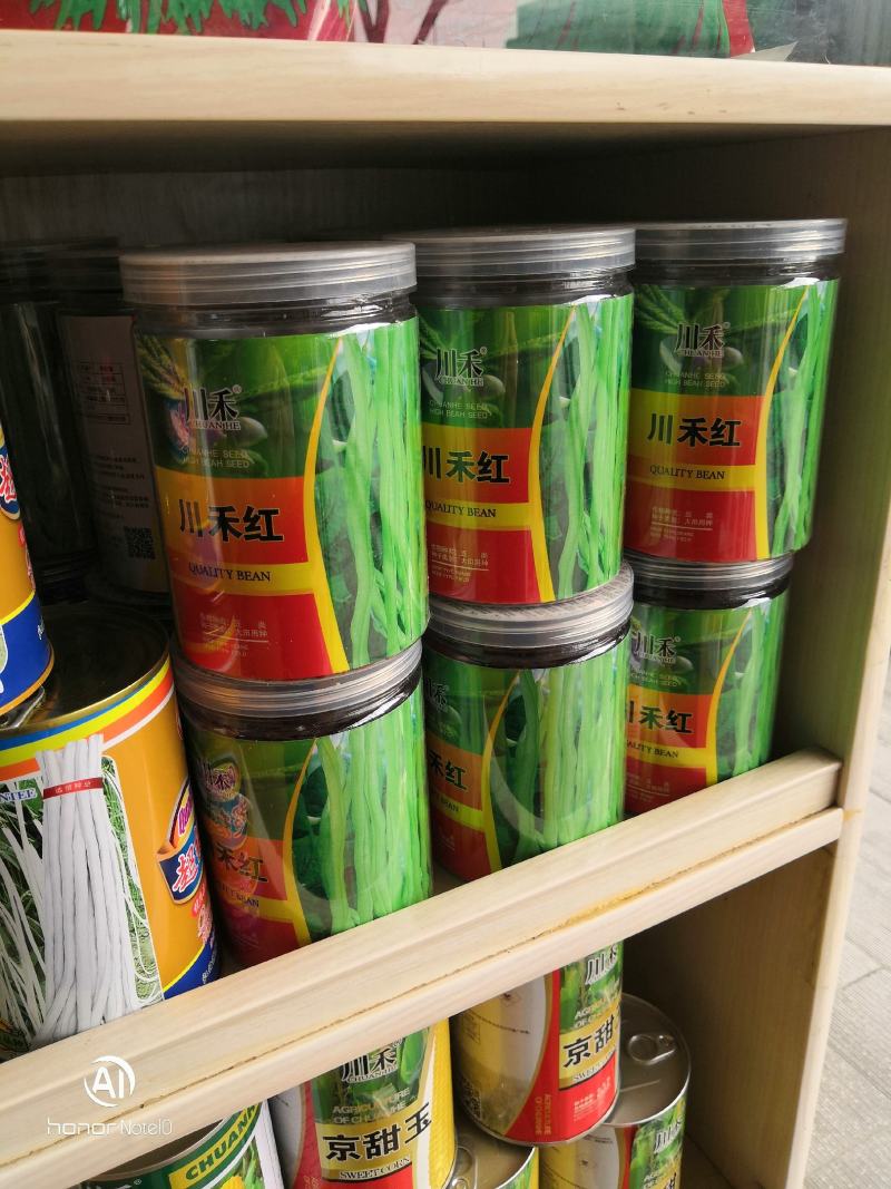 川禾红玉四季豆泰国架豆王