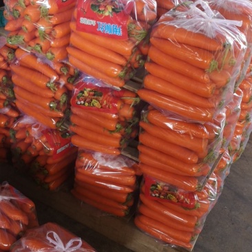 【进店】山东水洗胡萝卜大量发货，质量保证，欢迎下单