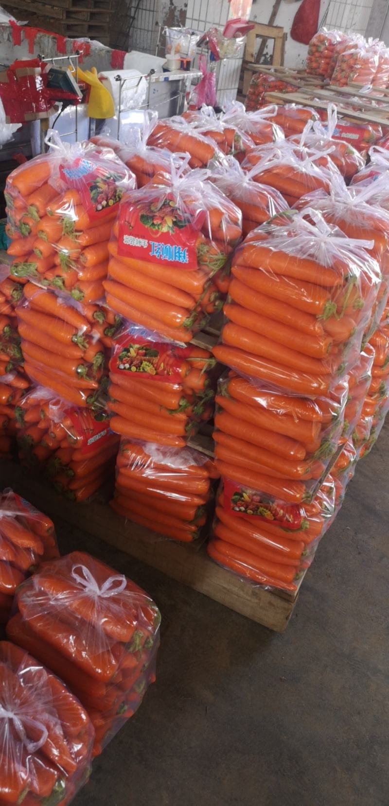 【进店】山东水洗胡萝卜大量发货，质量保证，欢迎下单