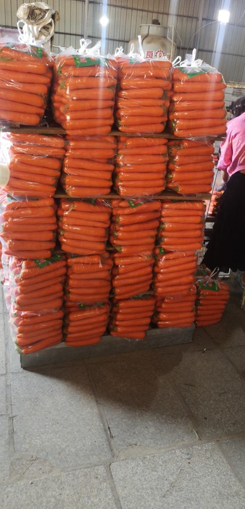 【进店】山东水洗胡萝卜大量发货，质量保证，欢迎下单