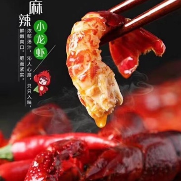 冷冻调味小龙虾，液氮锁鲜，健康美味，加热即食