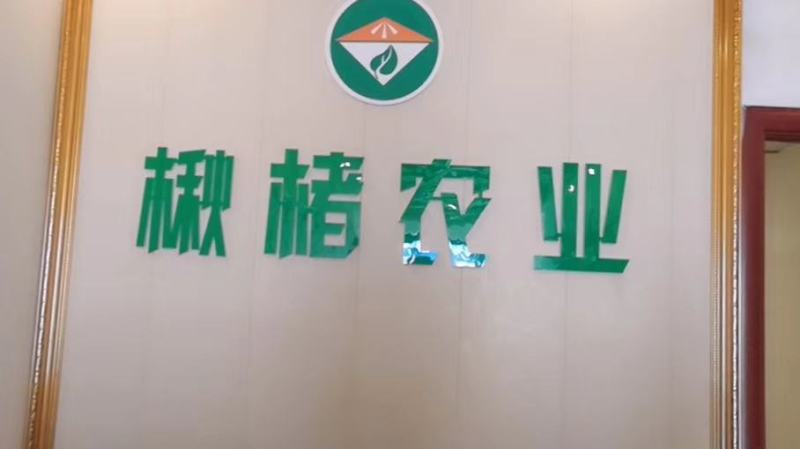 构树，杂交构树101。