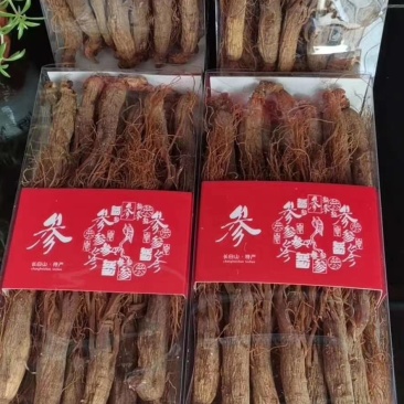 无糖红参，各种规格，15至40头的大量有货，一手货源