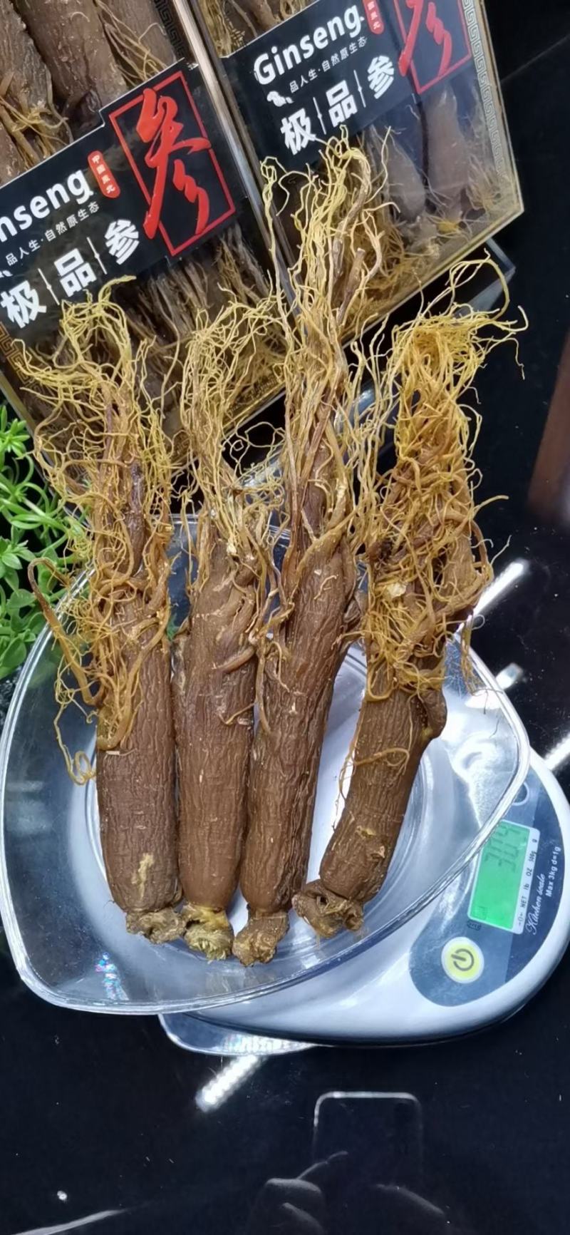 无糖红参，各种规格，15至40头的大量有货，一手货源