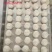 真才实料就是王道