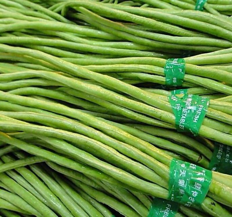 豇豆，青长豆角长度60厘米左右，质优价廉，代发全国市场