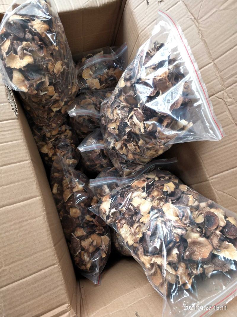 香菇椴木香菇椴木野生香菇广西大瑶山香菇产地直