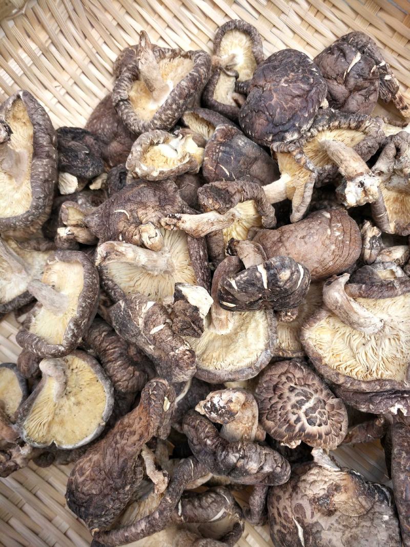 椴木香菇天然生态椴木香菇肉质细腻挑选货