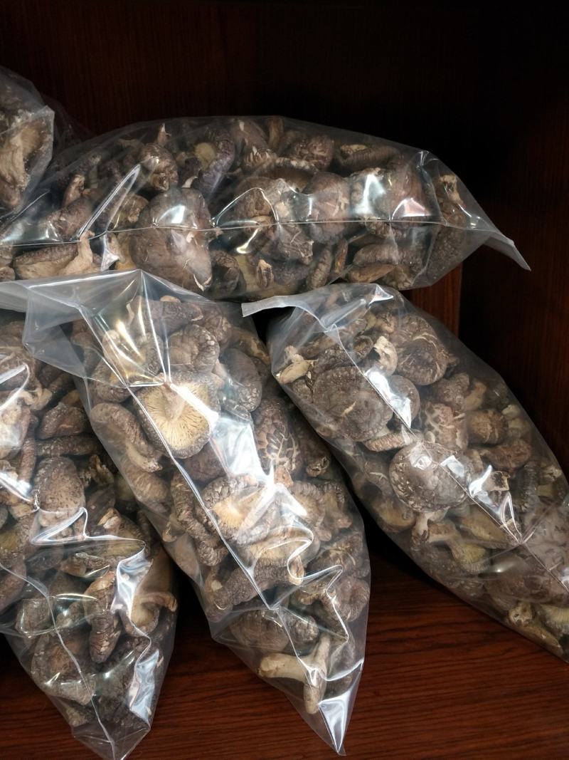 椴木香菇天然生态椴木香菇肉质细腻挑选货