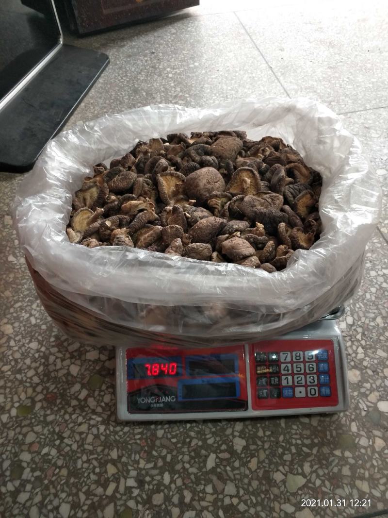 椴木香菇天然生态椴木香菇肉质细腻挑选货