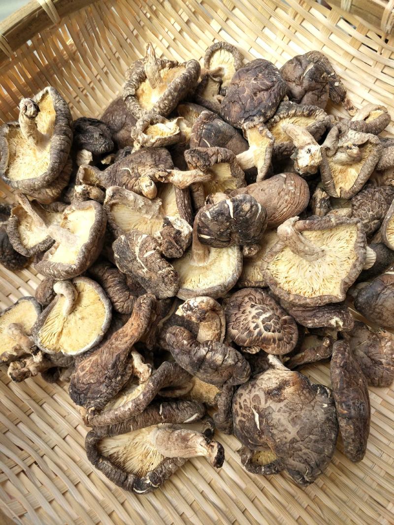 椴木香菇天然生态椴木香菇肉质细腻挑选货