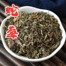 蛇莓中药材新鲜蛇莓干蛇莓草落地杨梅三叶梅