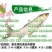 【2023年新苗】草鱼苗草鱼水花供应基地直供