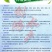 【2023年新苗】草鱼苗鲩鱼苗草鱼水花已打疫苗