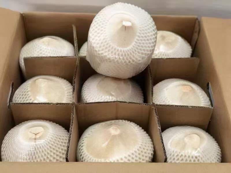 【年货节】海南椰子，香甜汁多，批发量大从优，可视频看