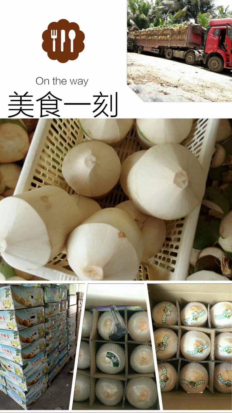 【有好货】海南椰子应当季新鲜椰皇水果保质保量全国发货