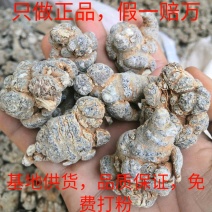 文山三七，正宗文山三七，假一罚万，基地三七。