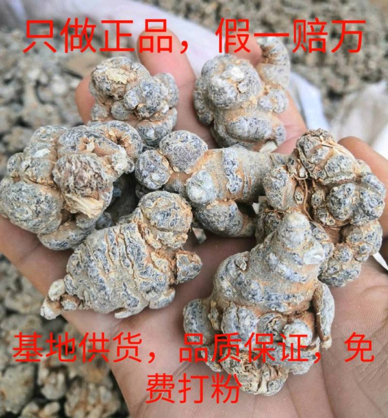 文山三七，正宗文山三七，假一罚万，基地三七。