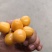 西双版纳灯笼果菇娘果基地直供质量保证量大优惠全国发货