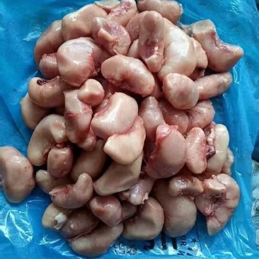鸡腰子个头均匀货干大量批发