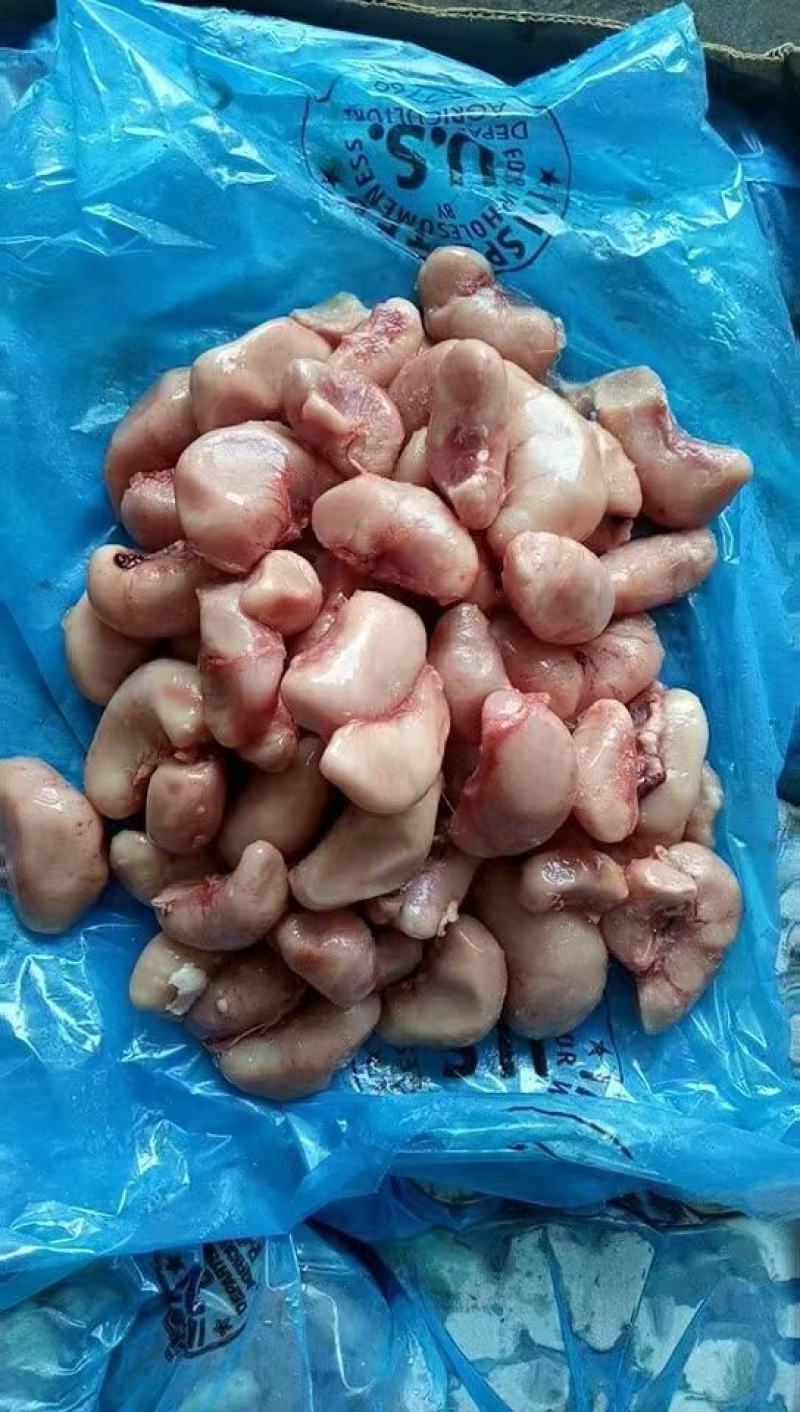 鸡腰子个头均匀货干大量批发