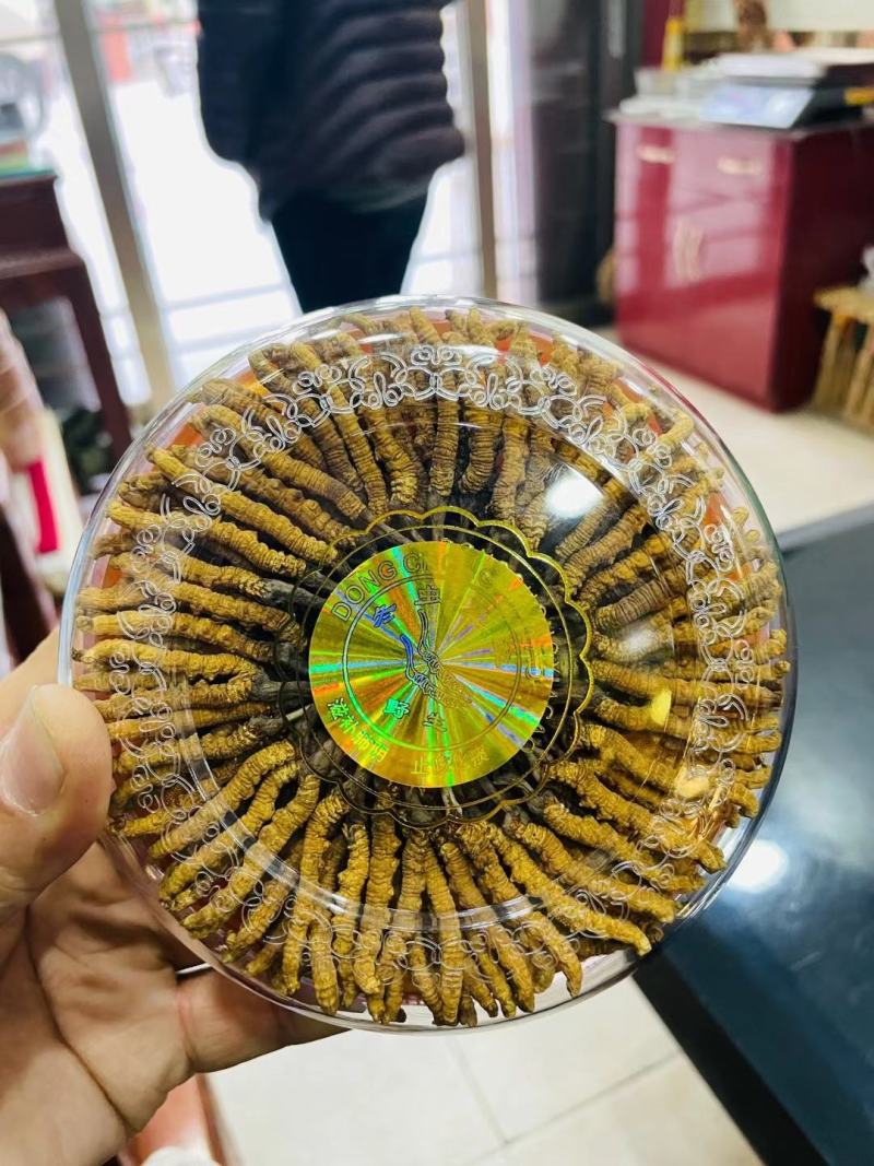 西藏那曲精品冬虫夏草礼盒装