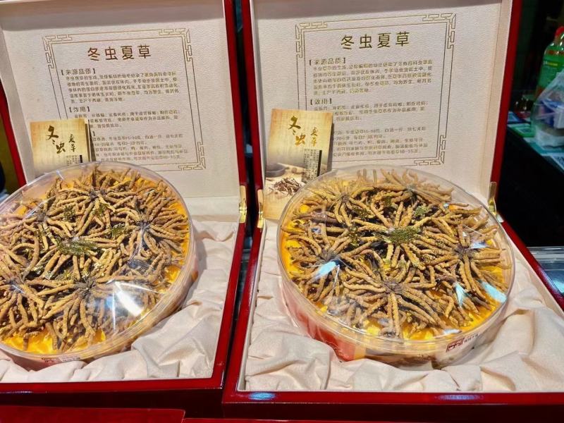 西藏那曲精品冬虫夏草