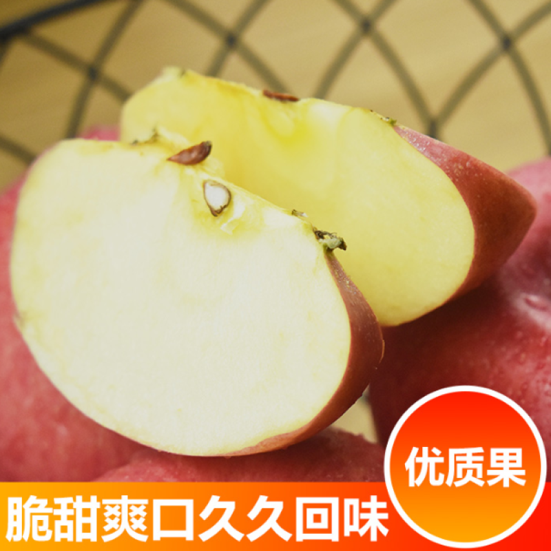 【精品】红富士苹果，牛商全年推广24小时可联系