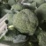 西兰花质量好货源足想要的老板，抓紧联系！