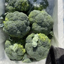 西兰花质量好货源足想要的老板，抓紧联系！