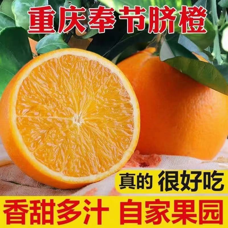 自家奉节脐橙！果园直发
