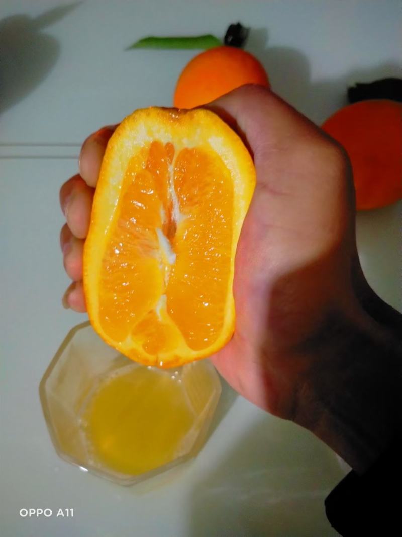 自家奉节脐橙！果园直发
