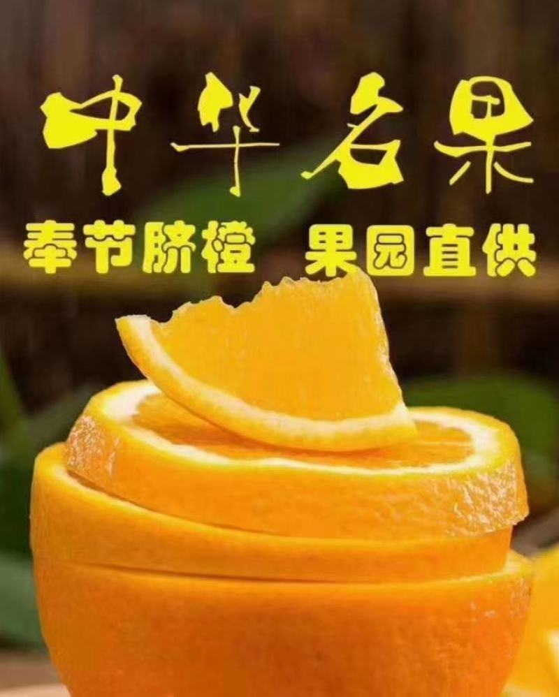 自家奉节脐橙！果园直发