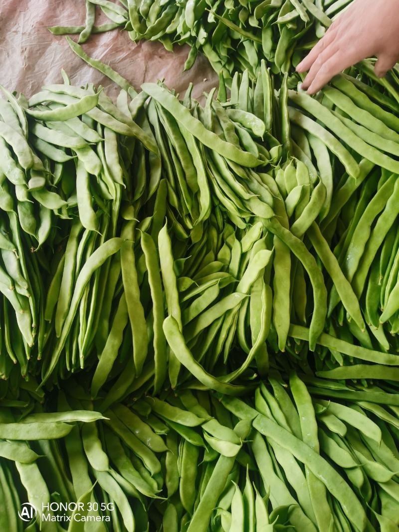 扁豆，扁芸豆，扁青芸豆质优价廉