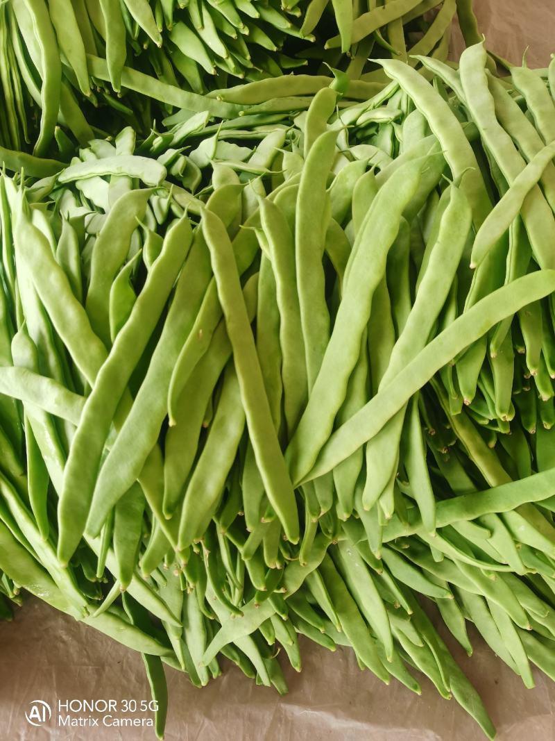扁豆，扁芸豆，扁青芸豆质优价廉