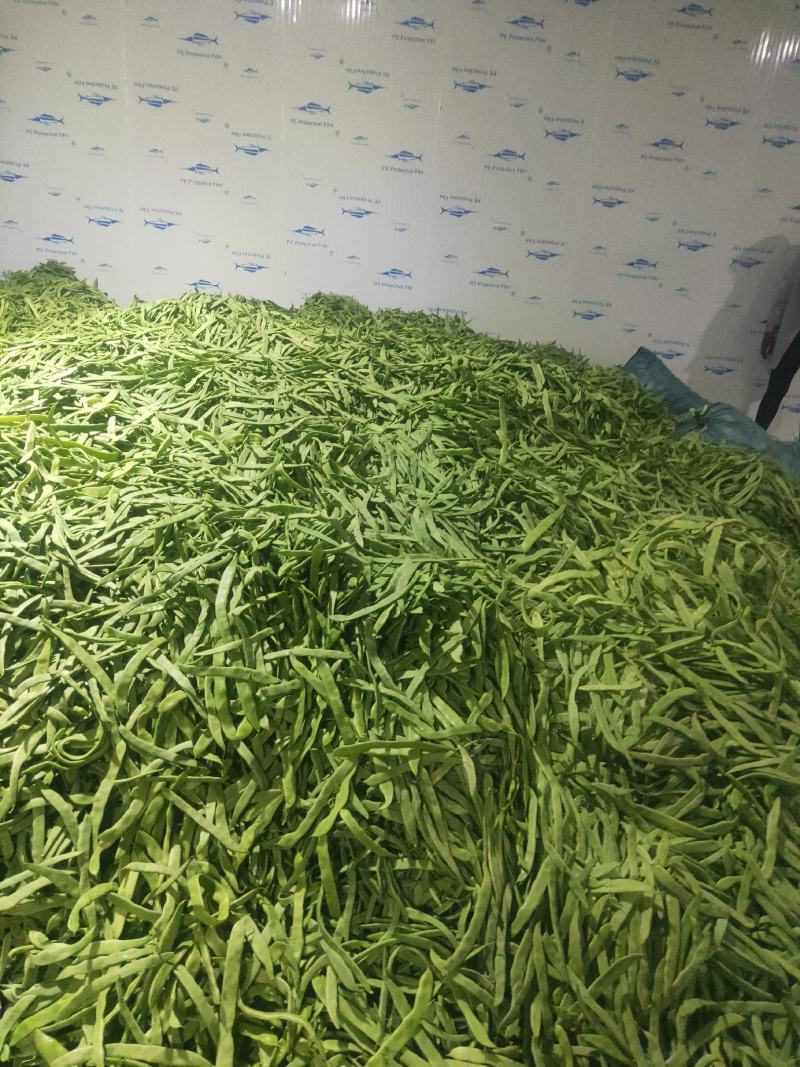 扁豆，扁芸豆，扁青芸豆质优价廉