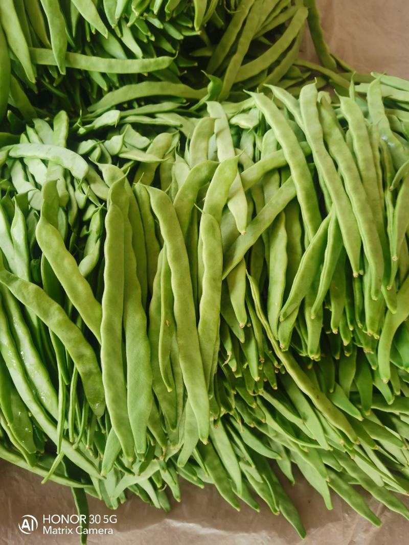 扁豆，扁芸豆，扁青芸豆质优价廉