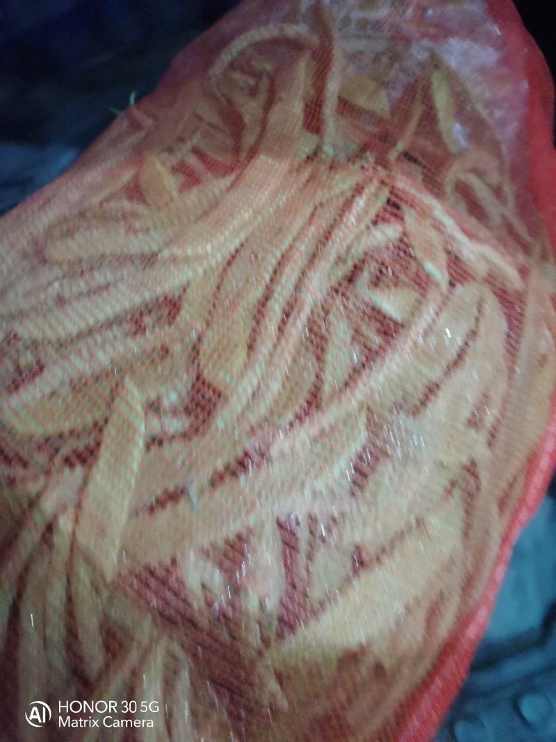 扁豆，扁芸豆，扁青芸豆质优价廉