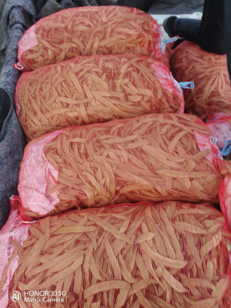 扁豆，扁芸豆，扁青芸豆质优价廉