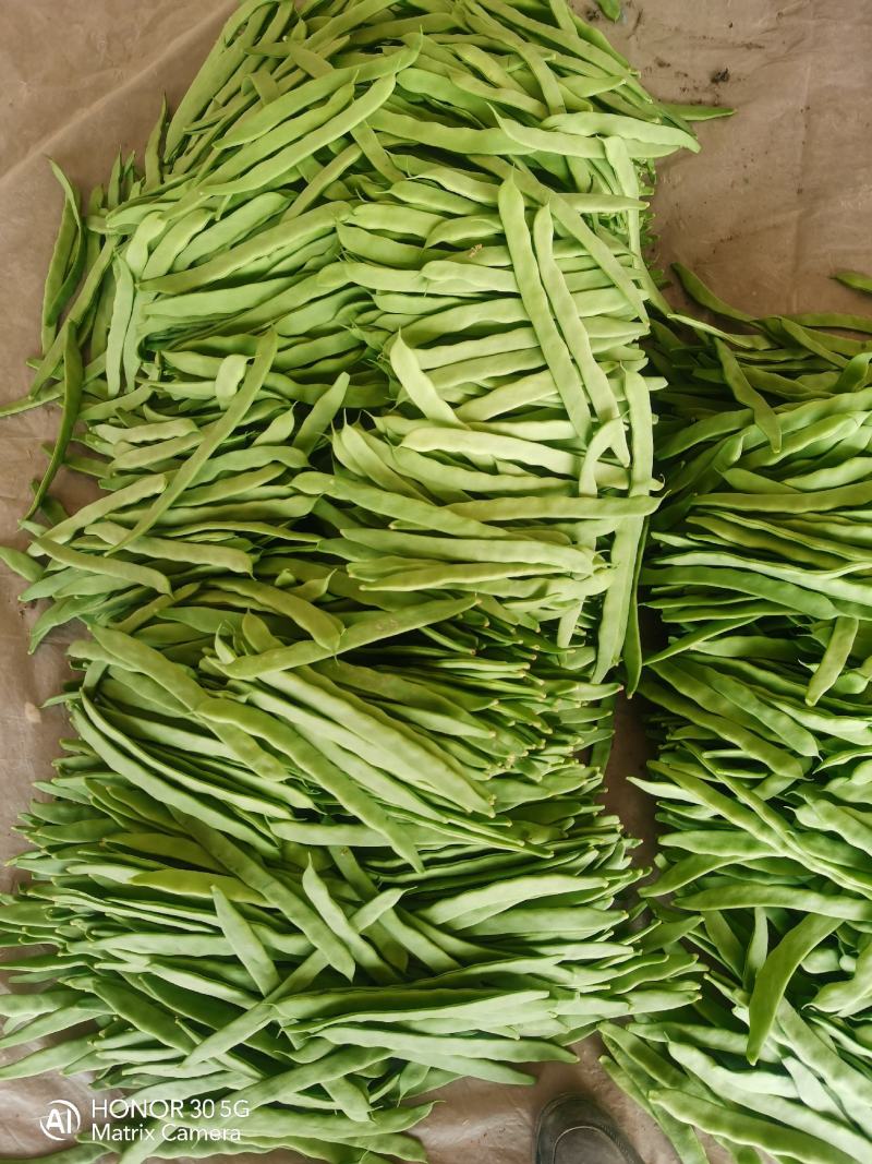 扁豆，扁芸豆，扁青芸豆质优价廉