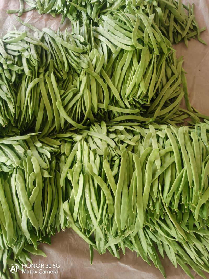 扁豆，扁芸豆，扁青芸豆质优价廉