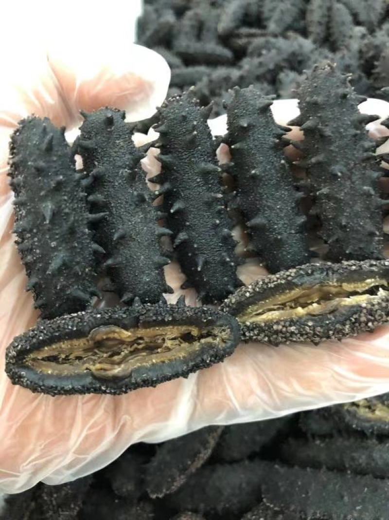 精品鲜活.干品海参量大从优质量价格合理
